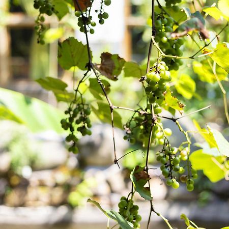 Butterfly Flowers Inn Trương Gia Giới Ngoại thất bức ảnh