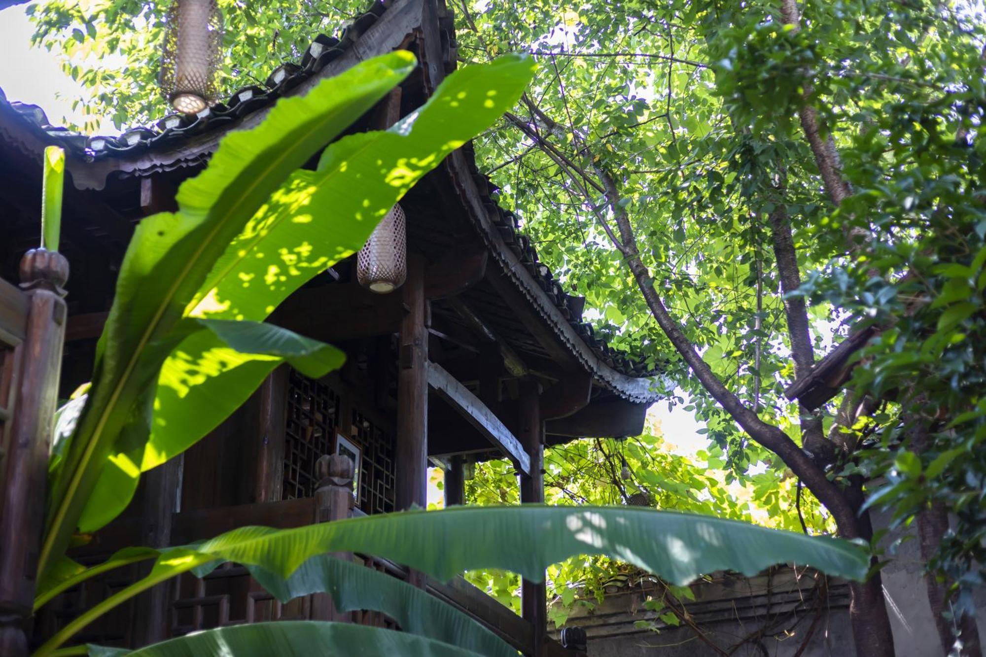 Butterfly Flowers Inn Trương Gia Giới Ngoại thất bức ảnh