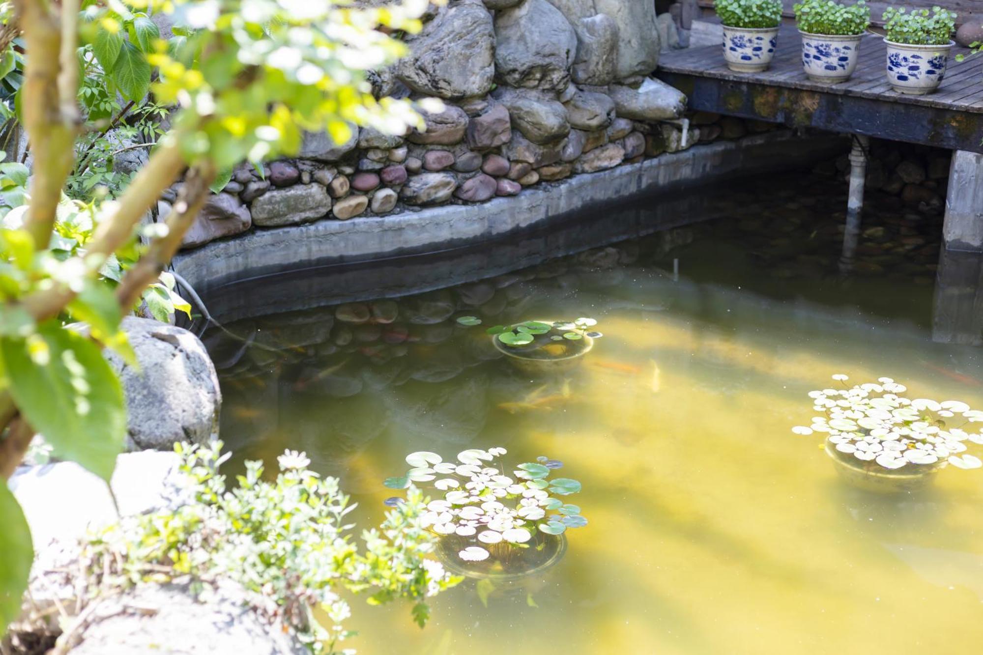 Butterfly Flowers Inn Trương Gia Giới Ngoại thất bức ảnh