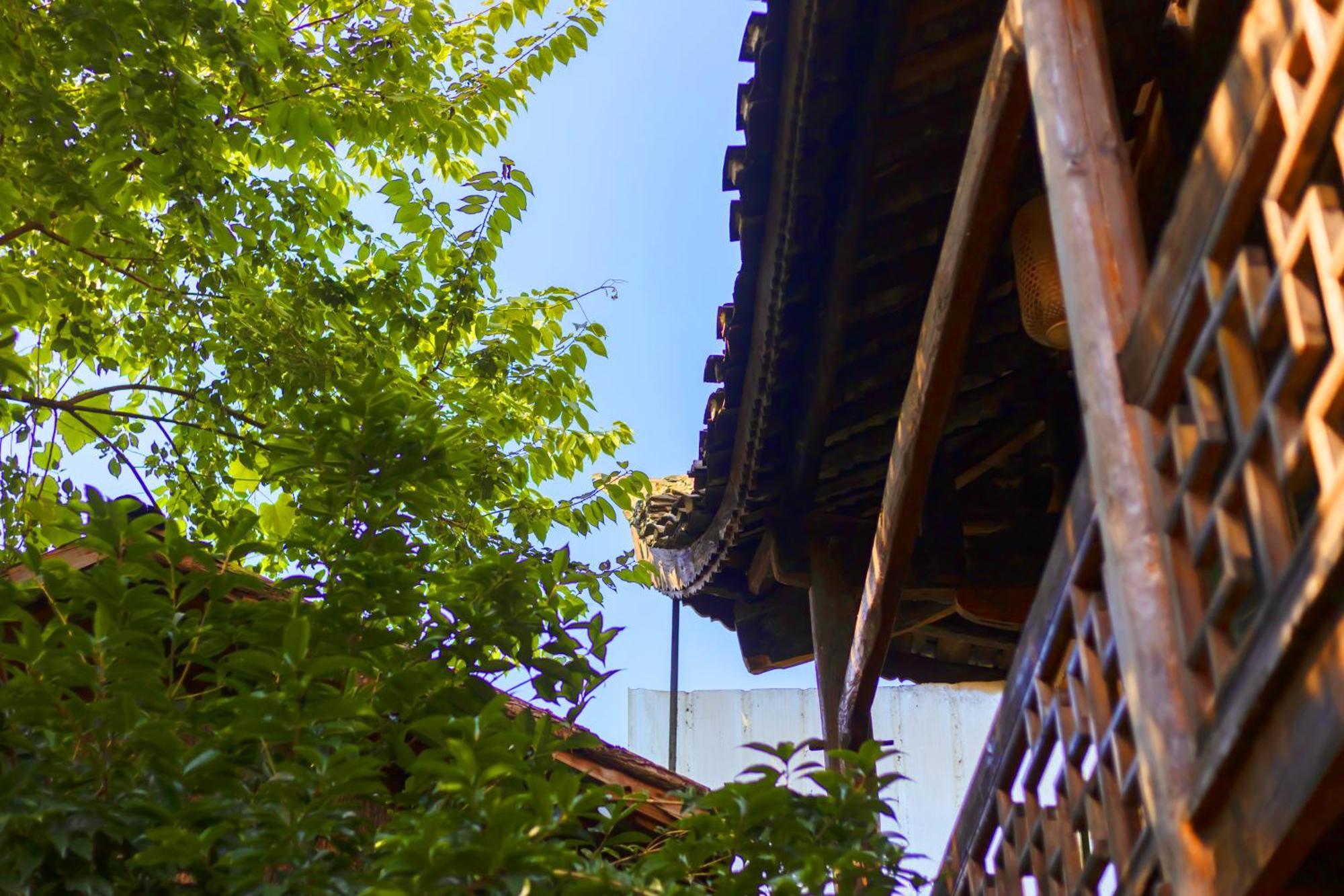 Butterfly Flowers Inn Trương Gia Giới Ngoại thất bức ảnh