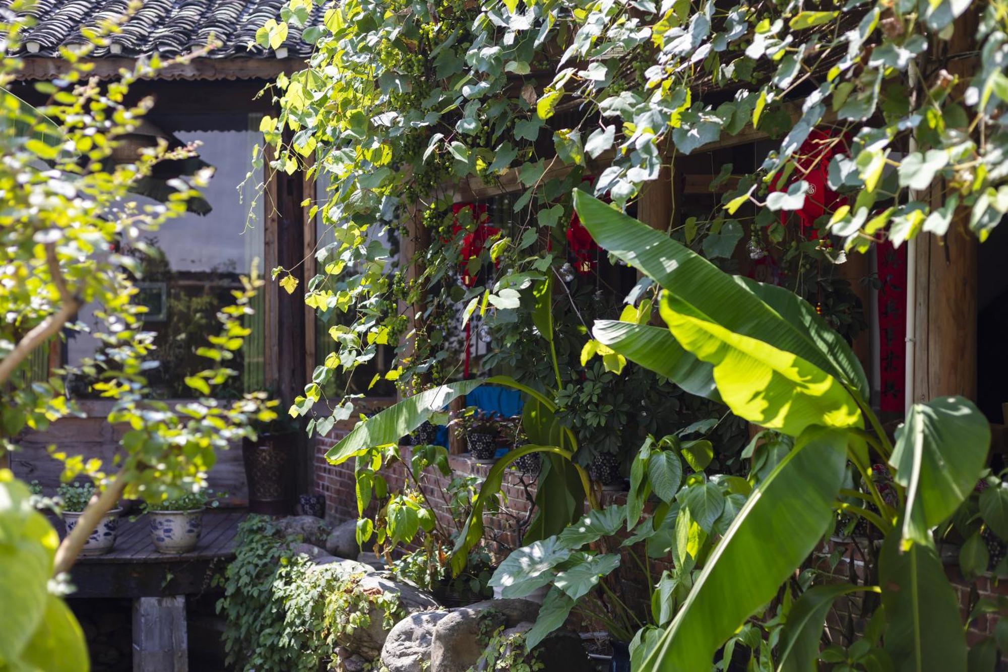 Butterfly Flowers Inn Trương Gia Giới Ngoại thất bức ảnh