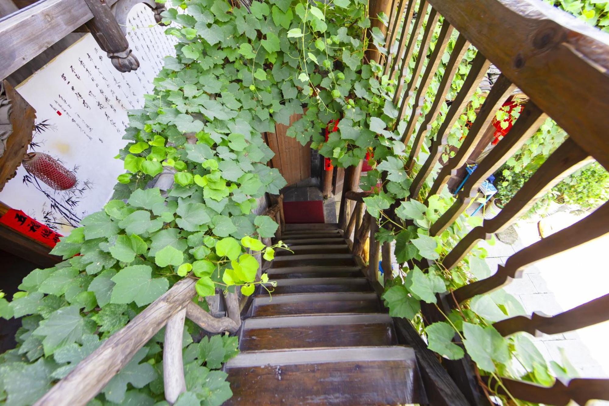 Butterfly Flowers Inn Trương Gia Giới Ngoại thất bức ảnh